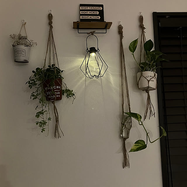 qp_ktbnさんの部屋