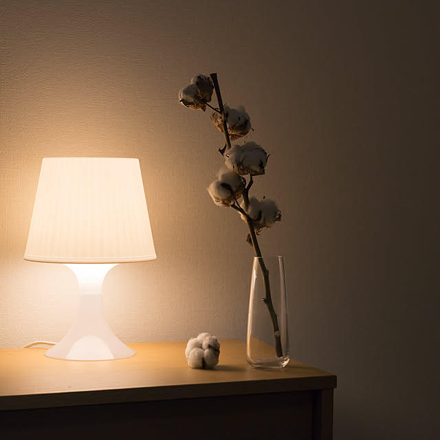 small.minimalさんの実例写真