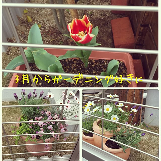 rika.hさんの実例写真