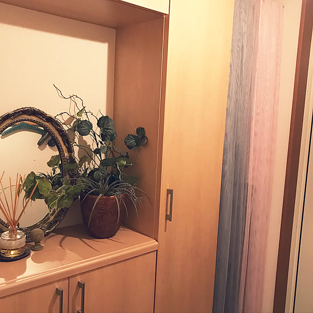 nemunokiさんの実例写真