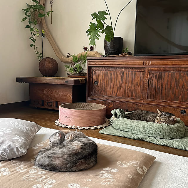 kuuさんの実例写真