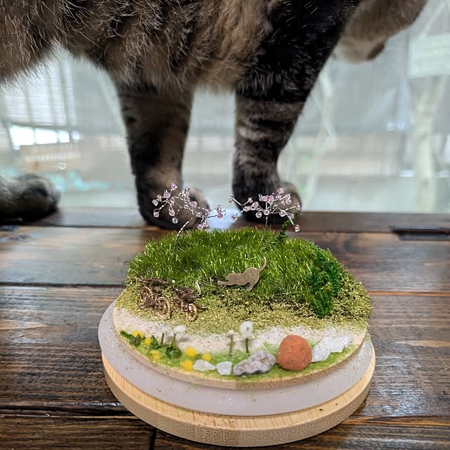 mori_6_12さんの部屋
