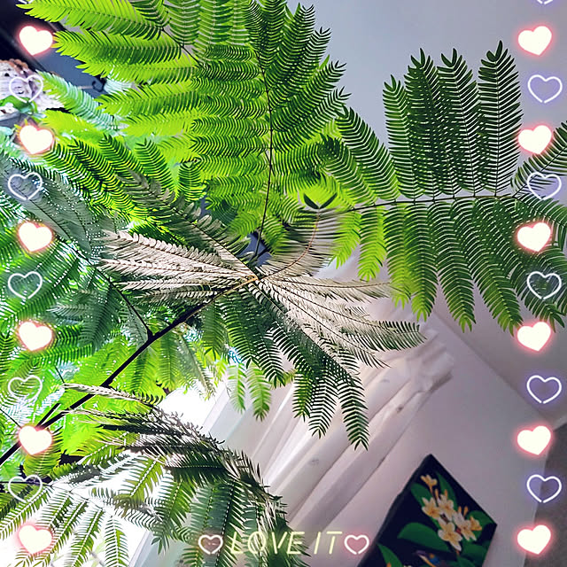 mimi828さんの実例写真