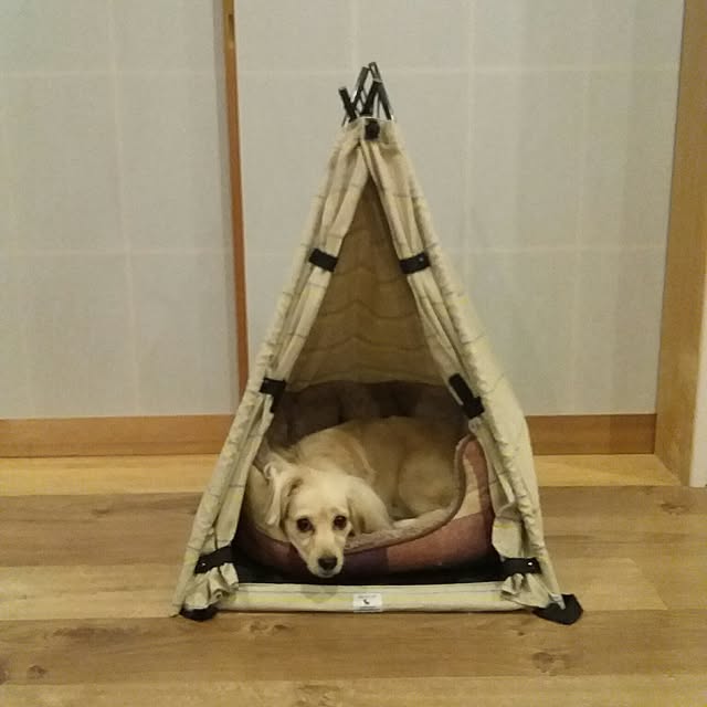 chihaさんの実例写真