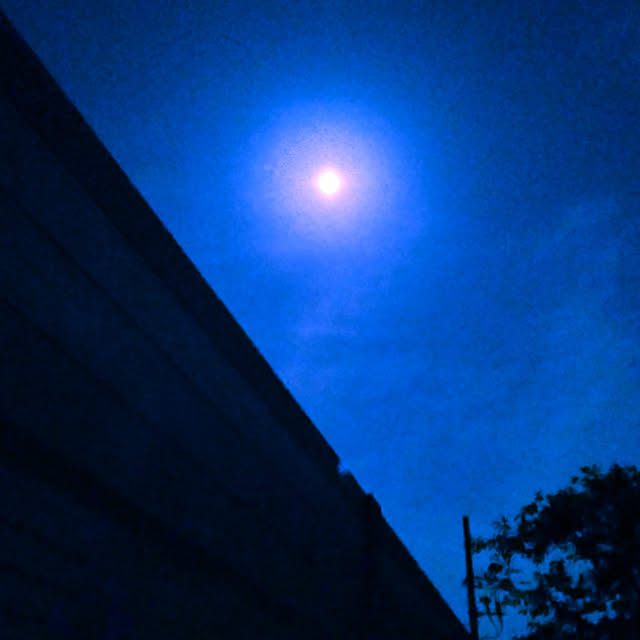 y.ebihara0811さんの実例写真