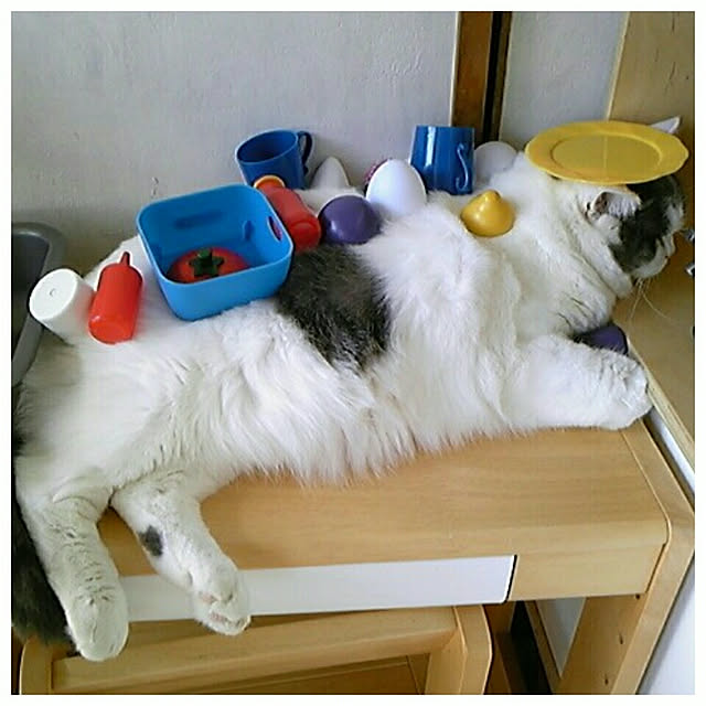 実例写真