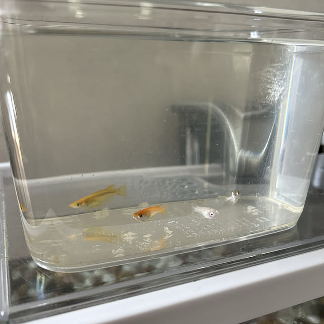 yunyumさんの部屋