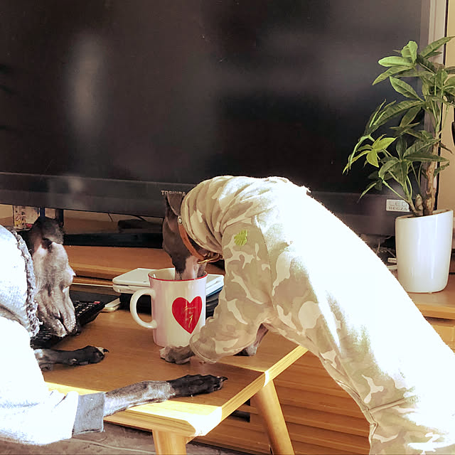 hiroさんの実例写真