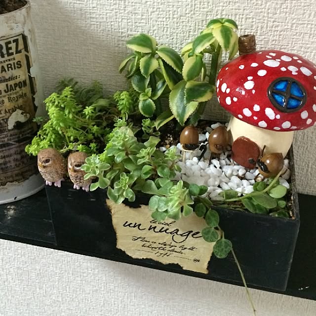 kisataroさんの実例写真