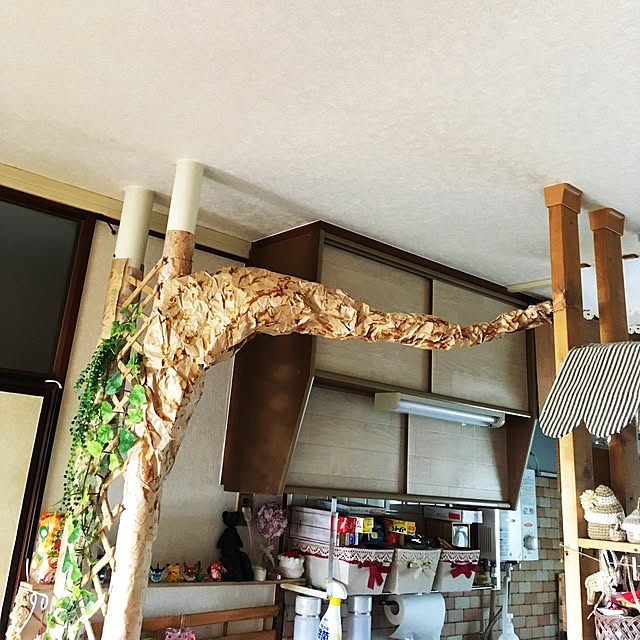 orinさんの実例写真