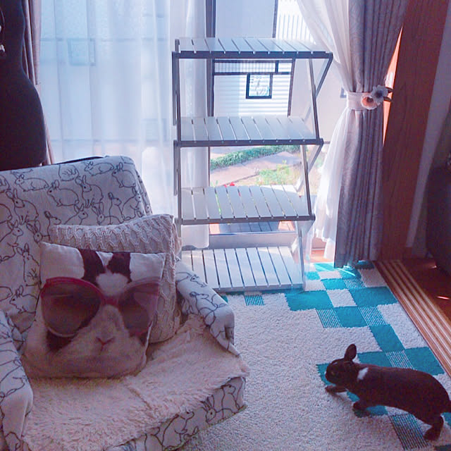 portulacaさんの実例写真