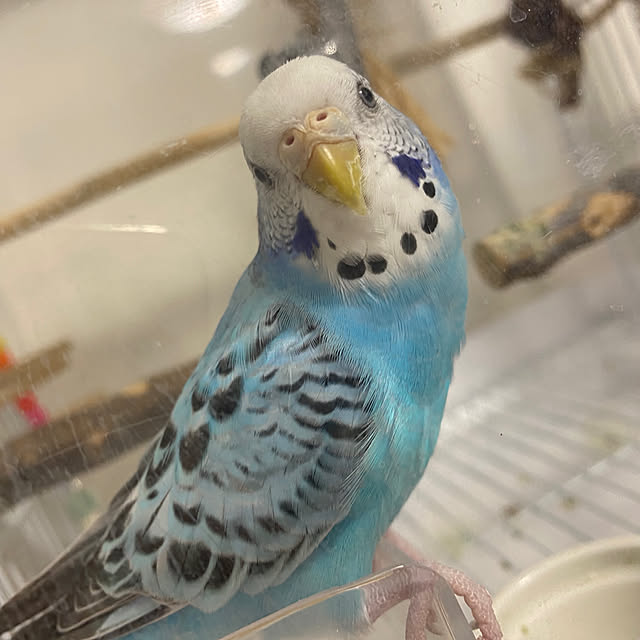 ohanaさんの実例写真