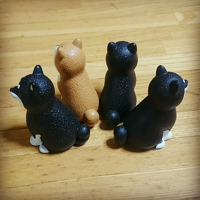 セリア/雑貨/玄関/入り口のインテリア実例 - 2016-07-04 21:36:19