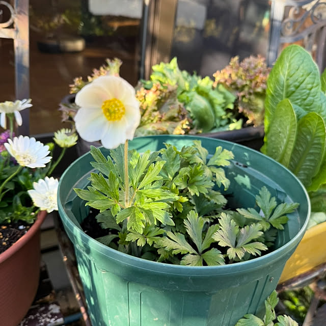 mamizaさんの部屋