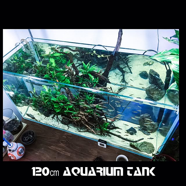fundiveさんの実例写真