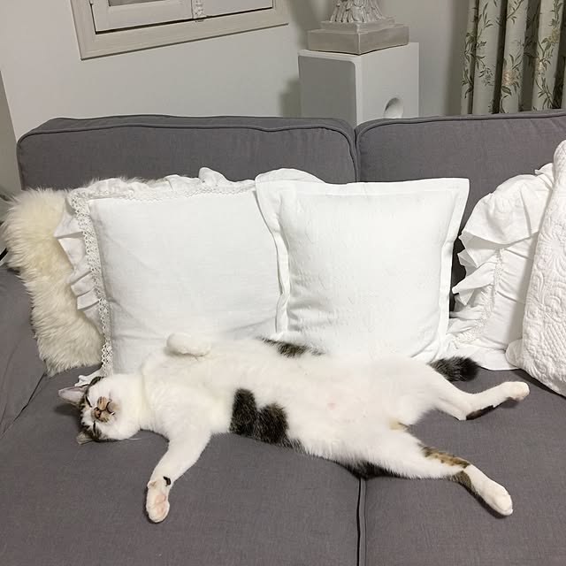 yuchiさんの実例写真