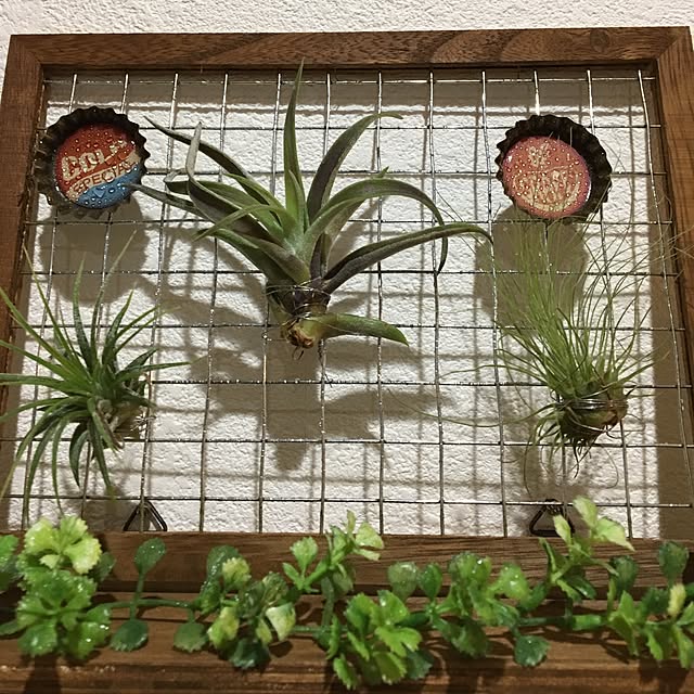 lunamamajunkoさんの実例写真