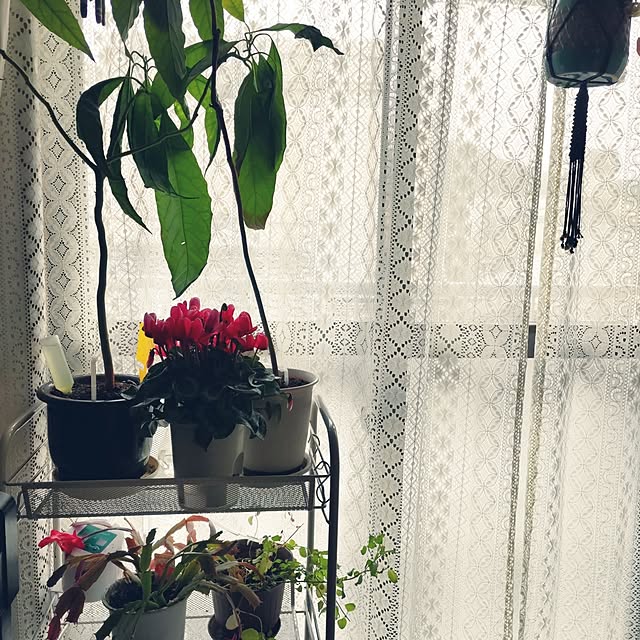 Maroさんの実例写真