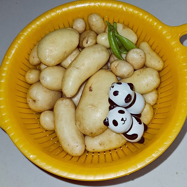 mocomocoさんの部屋