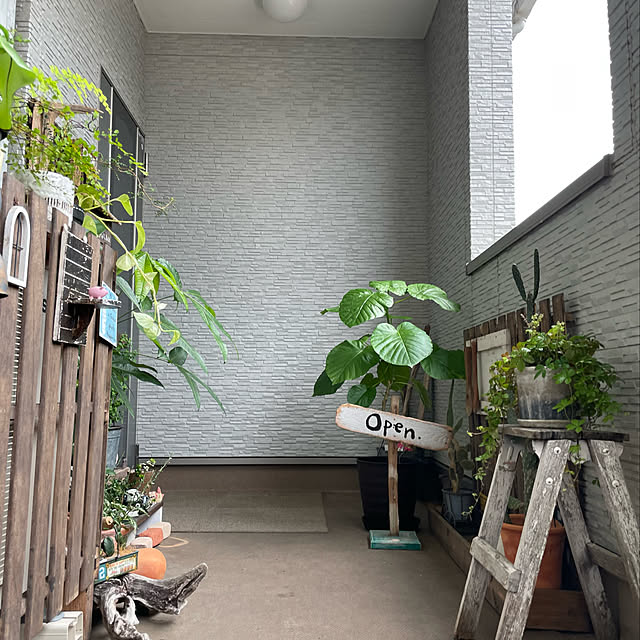 実例写真