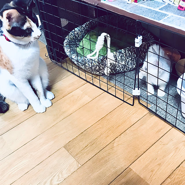 maroさんの実例写真