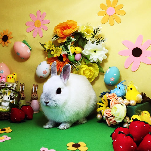alvin.0522さんの実例写真
