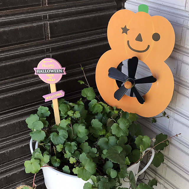 Cocoaさんの実例写真