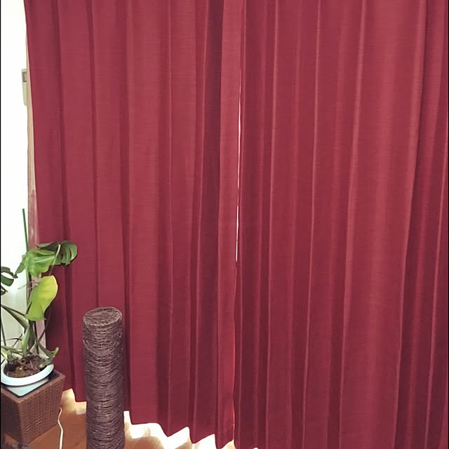 hiroさんの実例写真