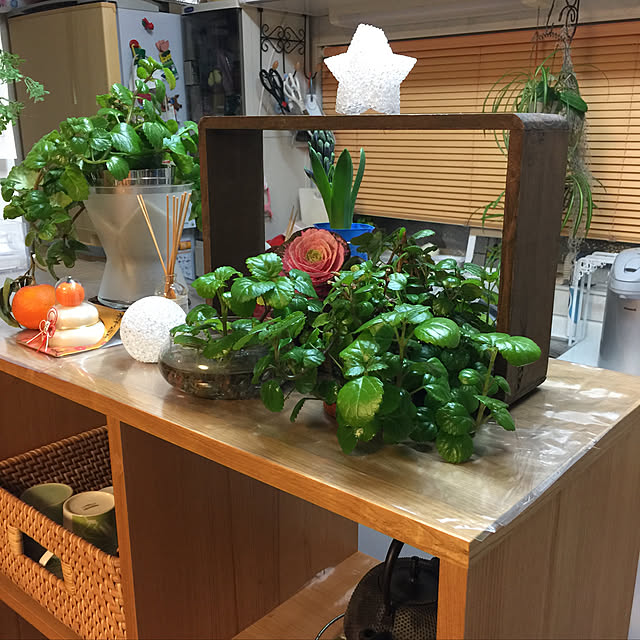 SAYONAさんの実例写真
