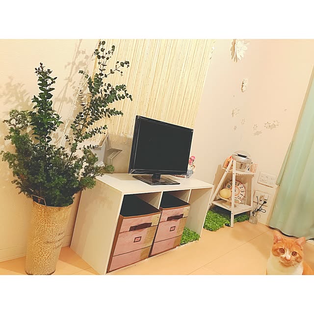 luuuuvs2さんの実例写真