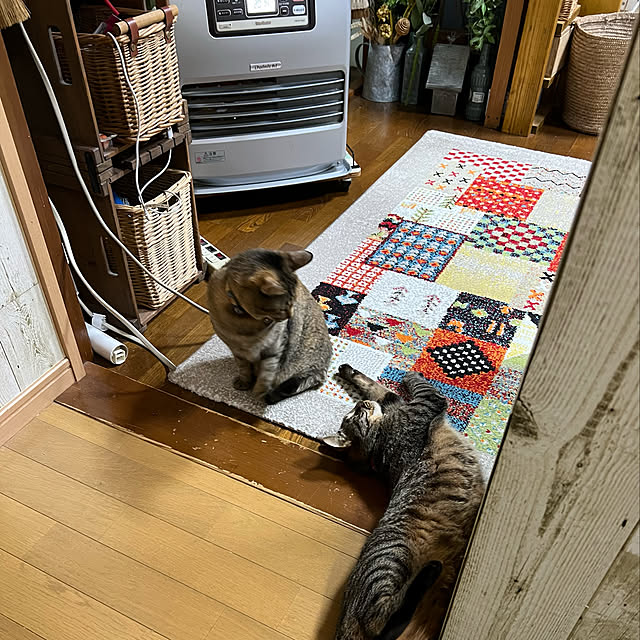 mohhaさんの実例写真