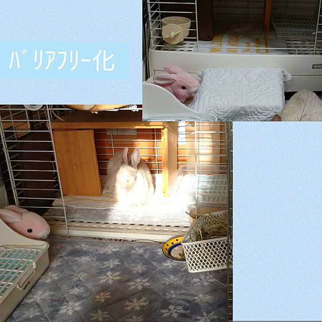 yokomokoさんの実例写真