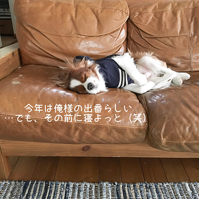 miyaさんの実例写真