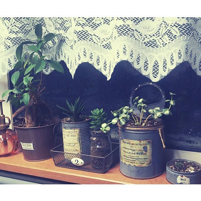キッチン/多肉植物/観葉植物/植物/アンティーク...などのインテリア実例 - 2015-01-24 22:40:43
