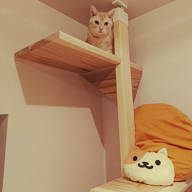 tetora0505さんの実例写真