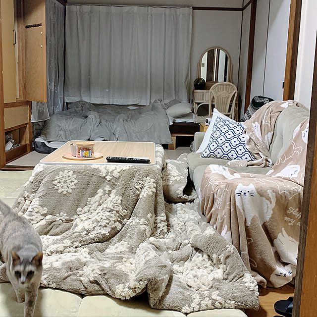 okomeさんの実例写真