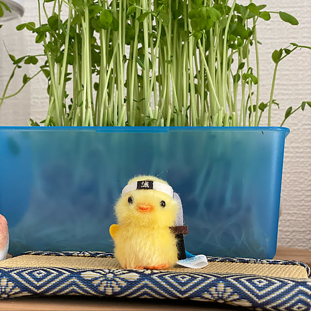 ohanaさんの実例写真