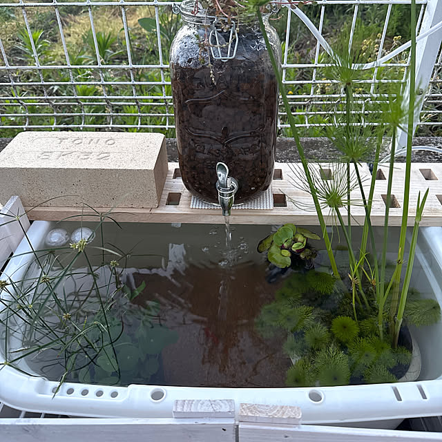 Sakikoさんの実例写真