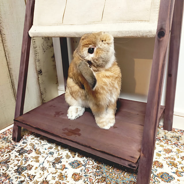 suzuさんの実例写真