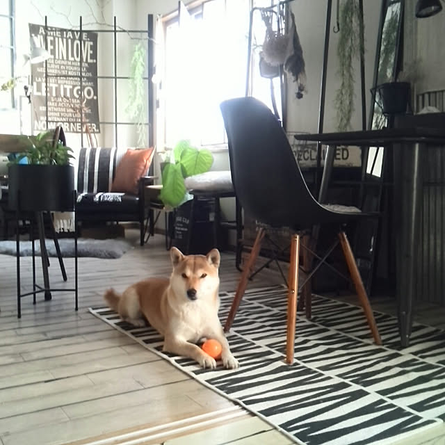 kさんの実例写真