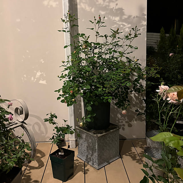 choさんの部屋