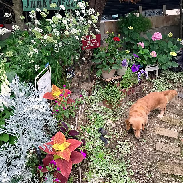 bibianさんの実例写真