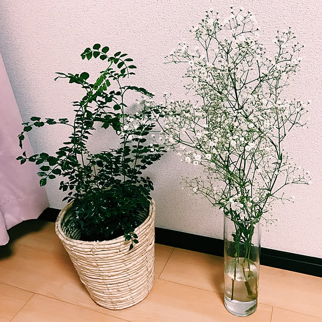 my148さんの実例写真