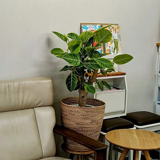 annaさんの部屋