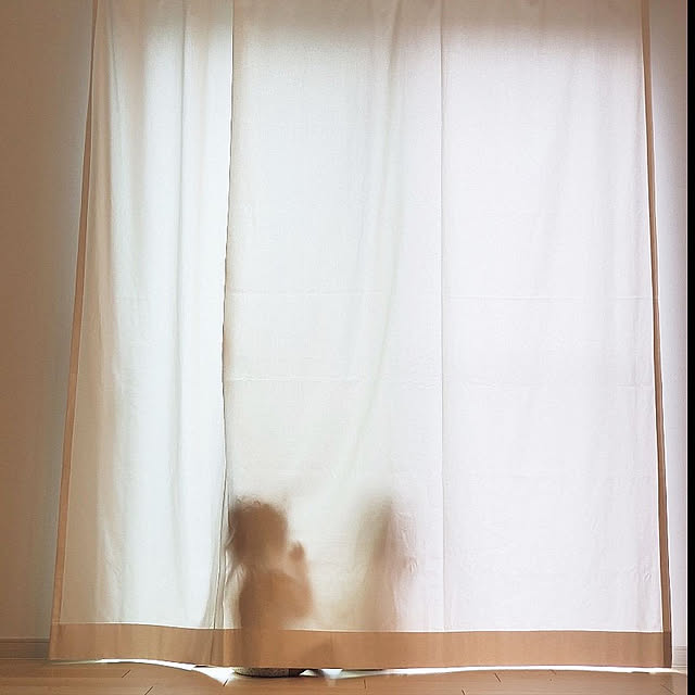 airpuricさんの実例写真