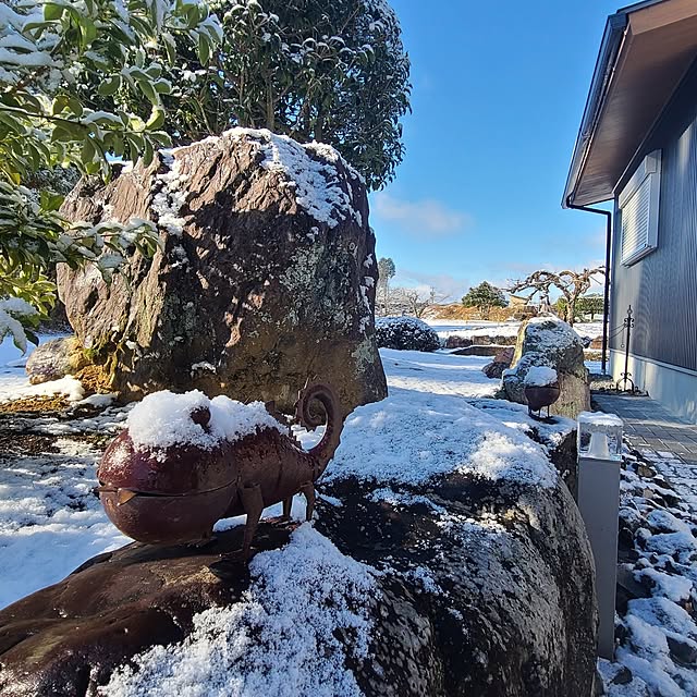 Rubiconさんの部屋