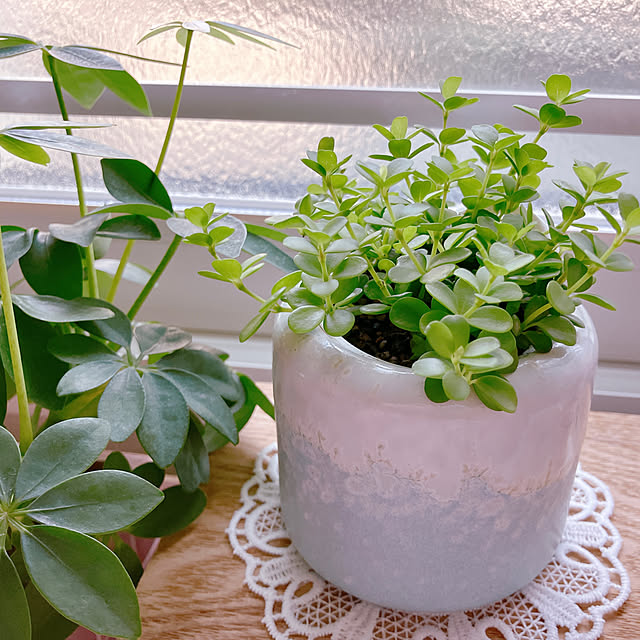 yuukiさんの実例写真