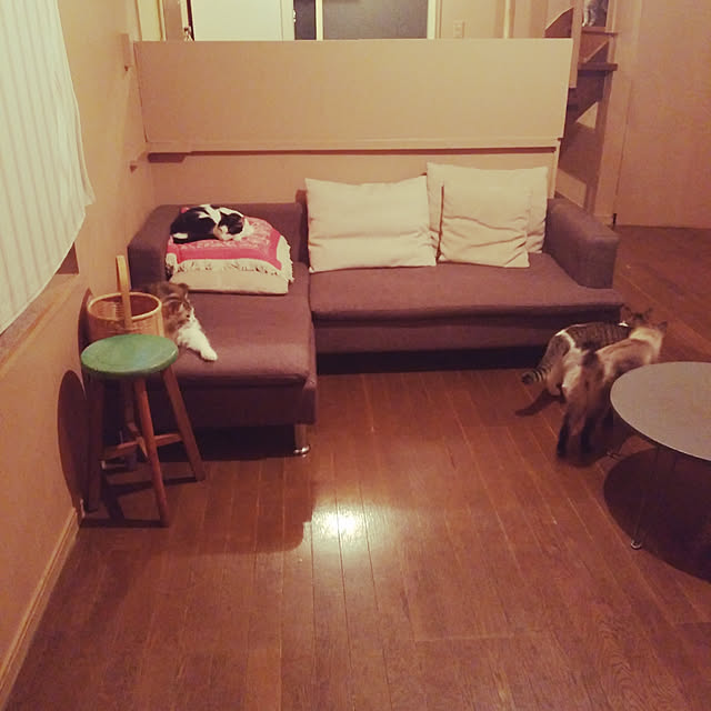 部屋全体のインテリア実例 - 2019-05-15 23:01:13