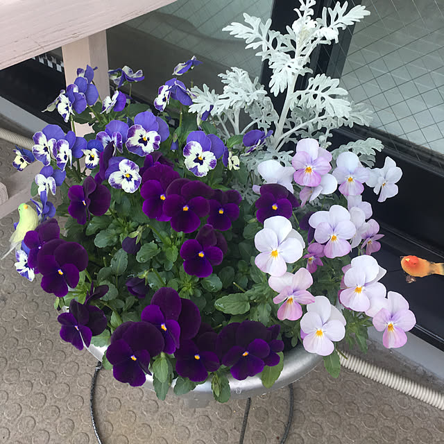 kanaさんの実例写真