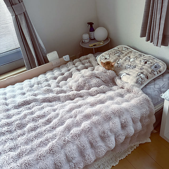 chiiさんの実例写真